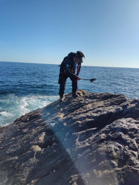 和歌山口和深（下谷渡船）でグレ釣り