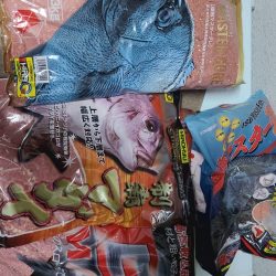 DAIWAマスターズブロック大会　勝浦