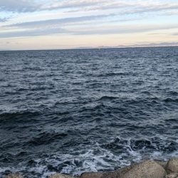 久しぶりの釣果