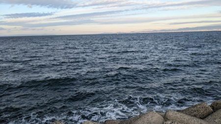 久しぶりの釣果