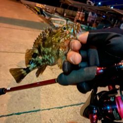 アジング&メバリング