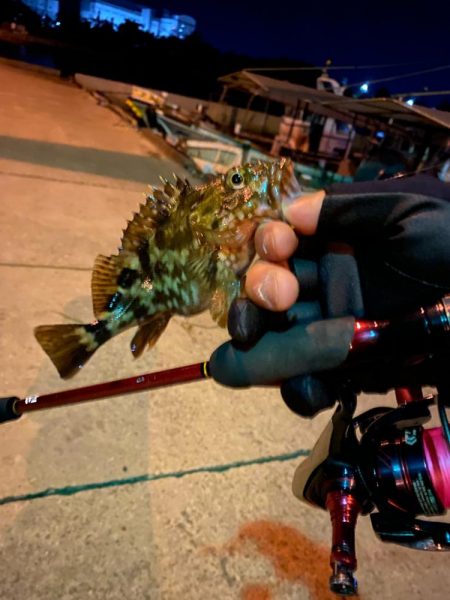 アジング&メバリング