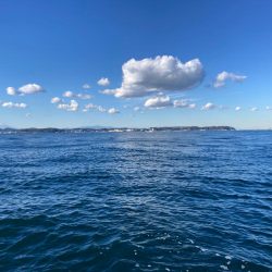 寒い中のカワハギ