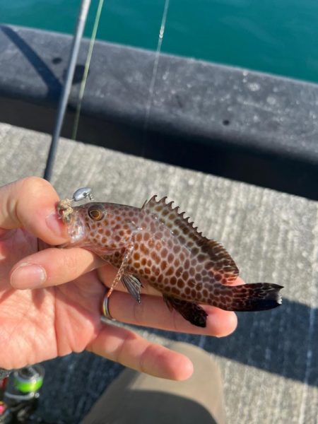 帰省途中の癒し