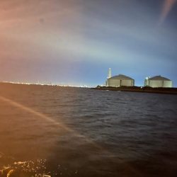 予報と違う風(๑•ૅㅁ•๑)