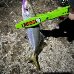 今シーズン初尺オーバーアジ🐟