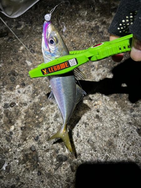 今シーズン初尺オーバーアジ🐟