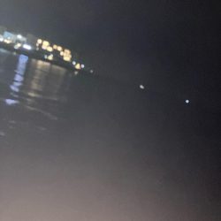 飲ませ仕掛けを使用したブッコミ釣り