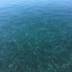 釣り納め　福を呼ぶ