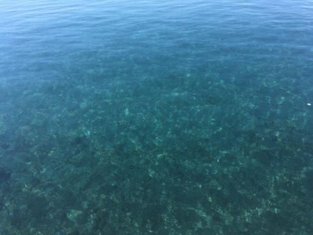 釣り納め　福を呼ぶ