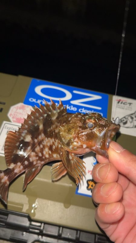 劇寒で1時間釣行