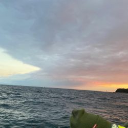 カワハギ　船釣り