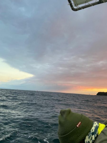 カワハギ　船釣り