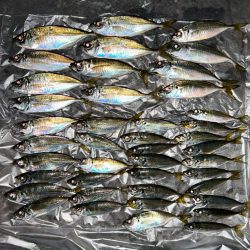 夕方の破壊力を堪能