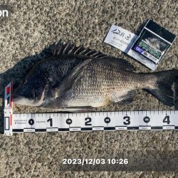 潮位が低く感じる日