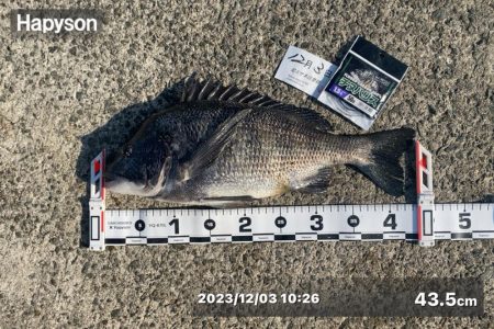 潮位が低く感じる日