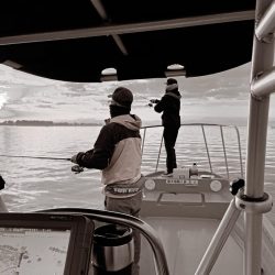 ボートシーバス