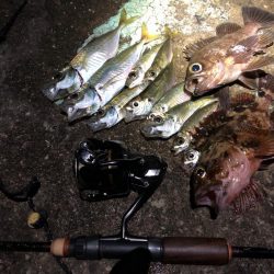 自作ロッドのデビュー戦