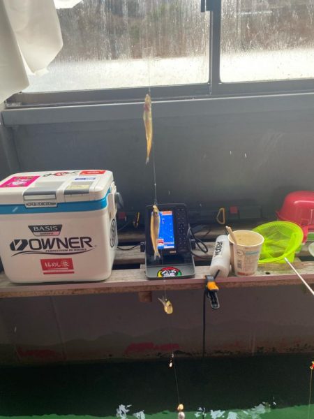 野尻湖ワカサギ釣り