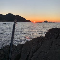 グレ狙いで釣り納め