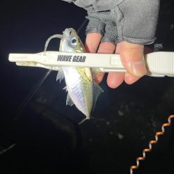 幸せライトゲーム🎣