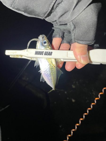 幸せライトゲーム🎣