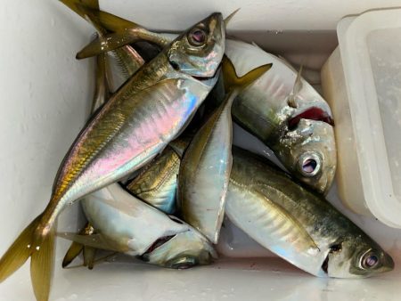 シーズン終盤？