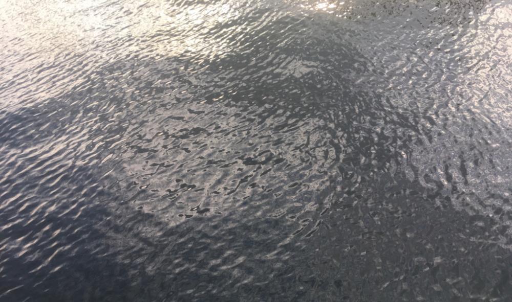 タチウオも青物も不発