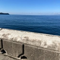 なんじゃこりゃ