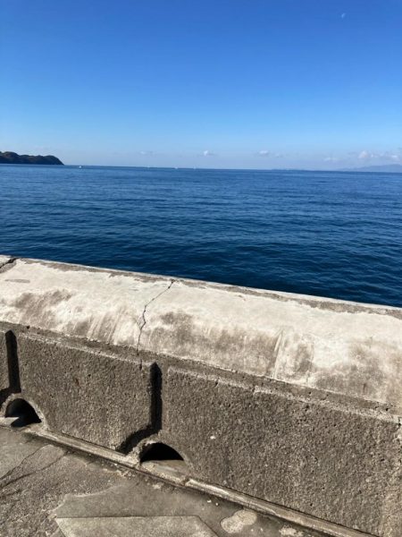 なんじゃこりゃ