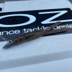 ミッドワインドで良型狙いの夜