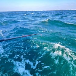 カワハギ/カワハギ仕掛け