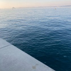 ヒラメ狙いから変更