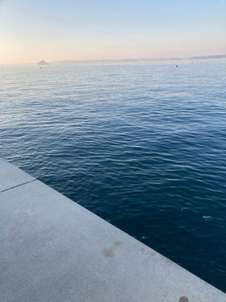 ヒラメ狙いから変更