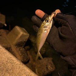 時合いまでのライトゲーム