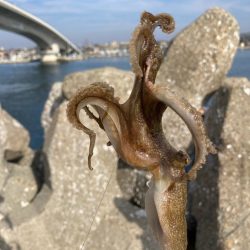 赤灯台〜東二見釣行！