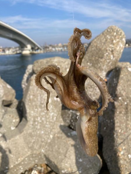 赤灯台〜東二見釣行！