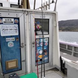 室津のカットウフグ