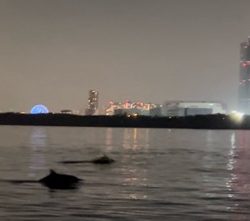 年末釣行の結末