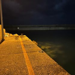 まだまだ釣れる!