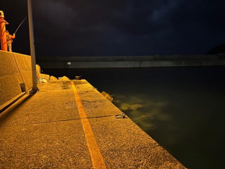 まだまだ釣れる!