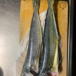 ペンペン狩りでLast surprise