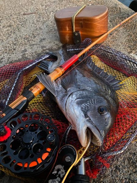 ヘチってきました