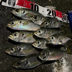 釣り納め・・られず