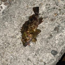 爆風ライトゲーム