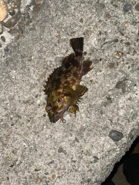 爆風ライトゲーム