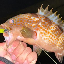 トレジャーハント