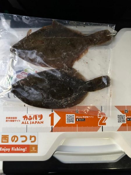 年末、釣り納め、クリスマスカレイ狙い