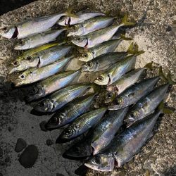 フロートアジング