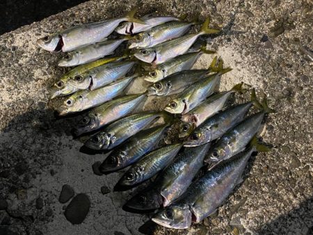 フロートアジング